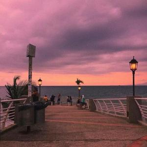 宫本留衣人妻系列作品
